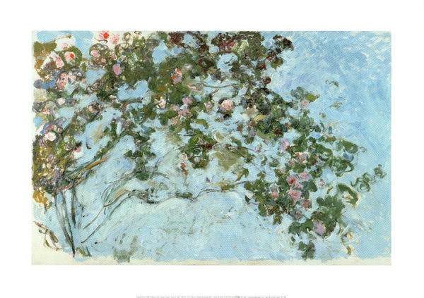 Roses, 1925-1926 by Claude Monet - 20 X 28 Inches (Art Print)