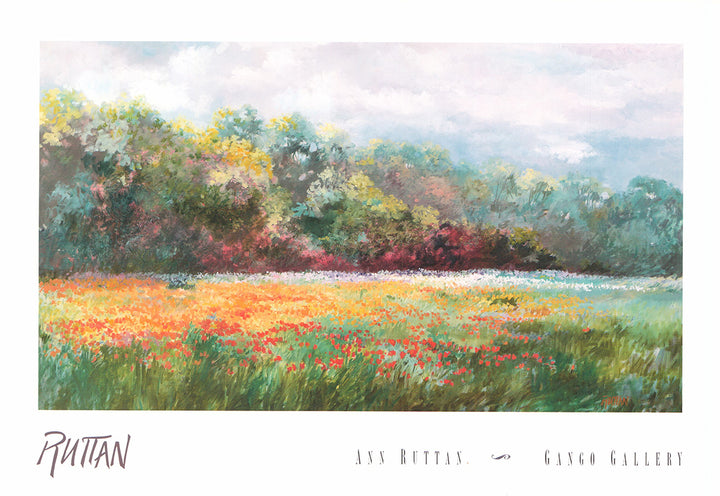 Poppies, 1994 by Ann Ruttan - 11 X 16 Inches (Art Print)