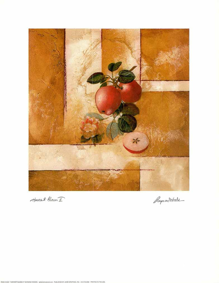 Harvest bloom II by Raymond Woods - 11 X 14 Inches (Art Print)