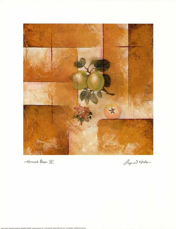 Harvest bloom IV by Raymond Woods - 11 X 14 Inches (Art Print)