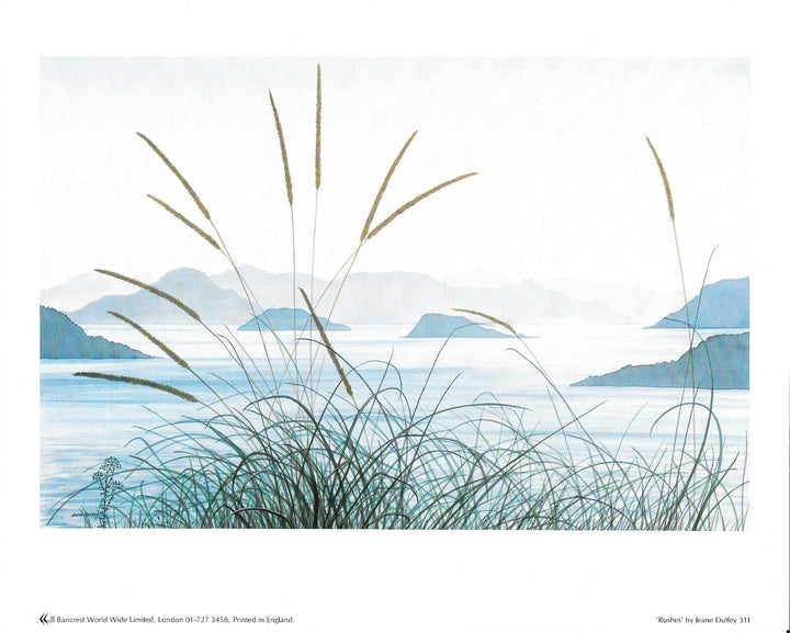 Rushes by Jeane Duffey - 8 X 10 Inches (Art Print)