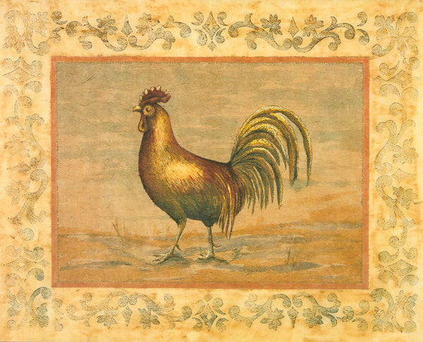 Rooster by Banafshe Schippel - 16 X 20 Inches (Art Print)