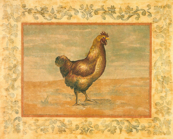 Hen by Banafshe Schippel - 16 X 20 Inches (Art Print)