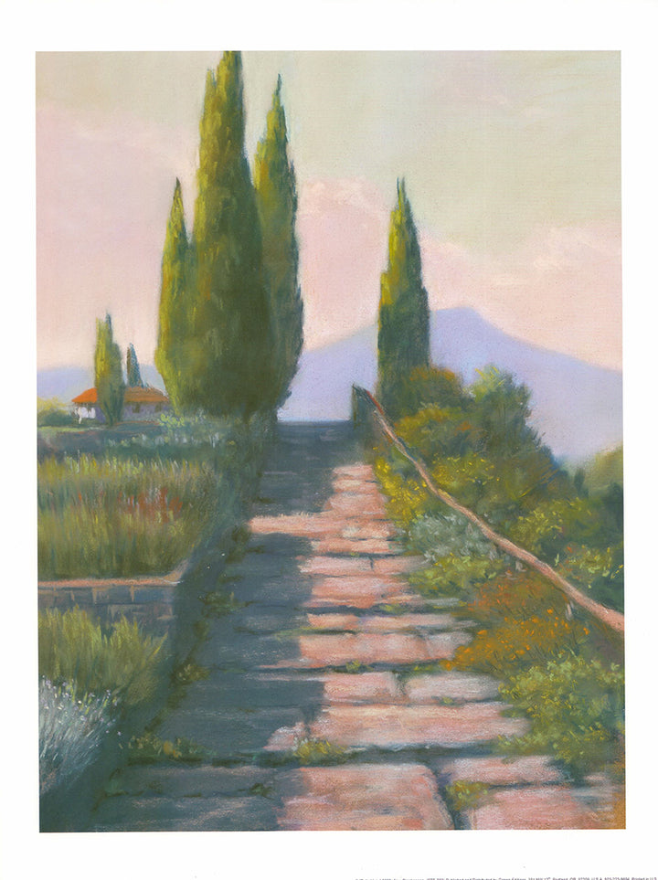Bella Vista, 2000 by Alan Stephenson - 12 X 16 Inches (Art Print)