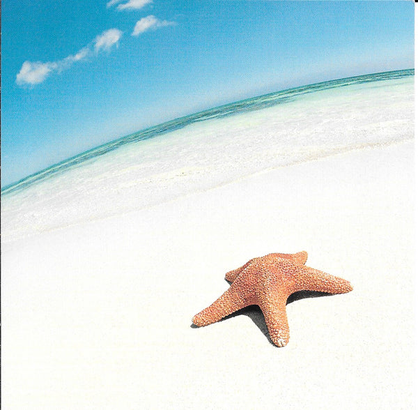 Sea Star on the Beach - 6 X 6 Inches (10 Postcards) (Copy)