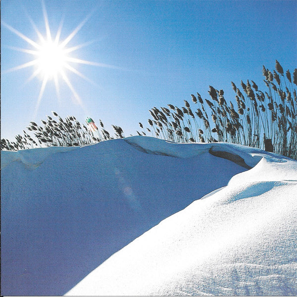 Snowdrift in the Sun by Mark Tomalty - 6 X 6 Inches (10 Postcards)