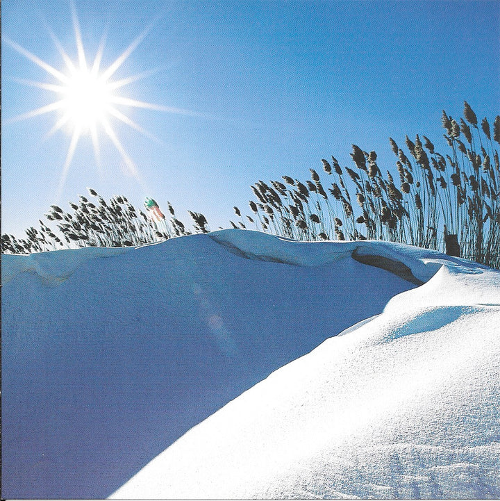 Snowdrift in the Sun by Mark Tomalty - 6 X 6 Inches (10 Postcards)