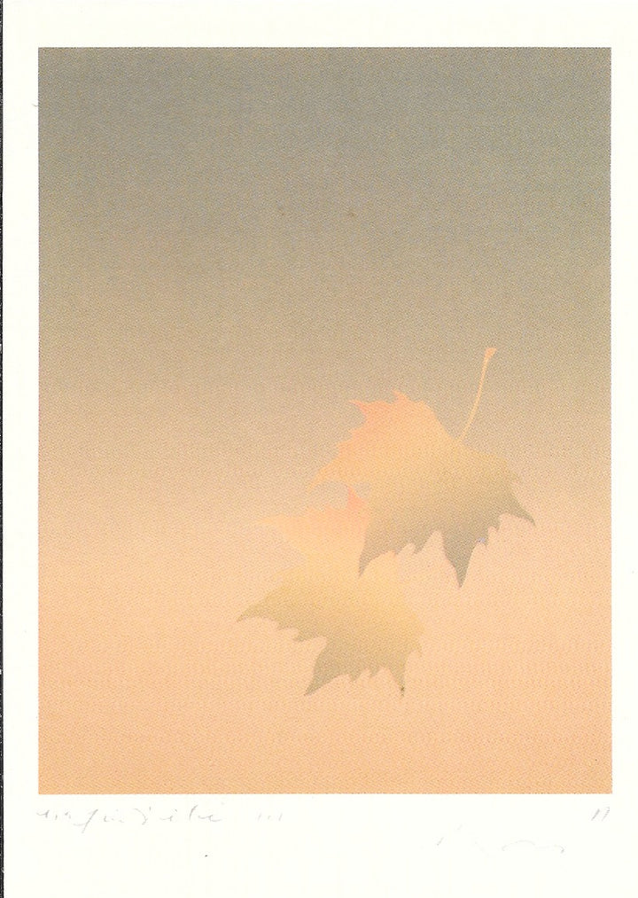 Summer's End by Kozo - 4 X 6 Inches (10 Postcards)