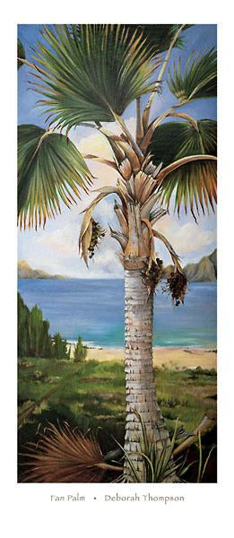 Fan Palm by Deborah Thompson - 17 X 39 Inches (Art Print)