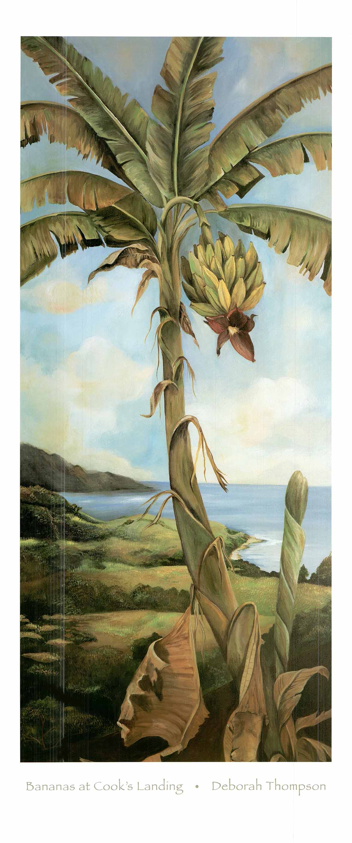 Bananas at Cook's Landing by Deborah Thompson - 17 X 39 Inches (Art Pr ...