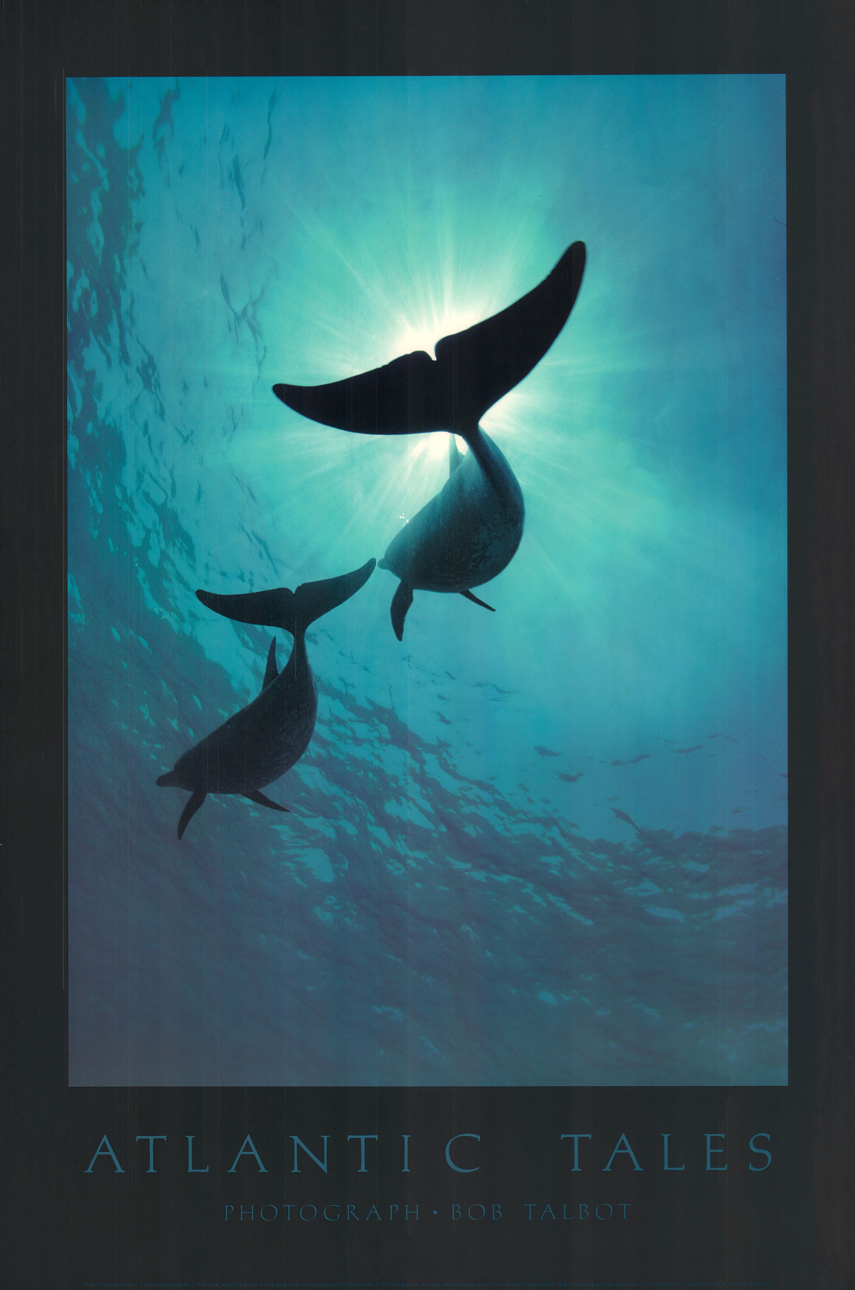 Atlantic Tales, 1988 by Bob Talbot - 24 X 36 Inches (Offset