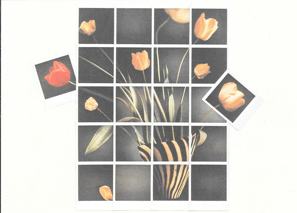 Tulipes by Stefan de Jeager - 4 X 6 Inches (10 Postcards)
