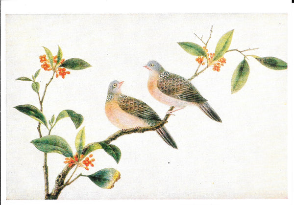 Two Turtle-Doves Peinture Chinoises 18e S - 4 X 6 Inches (10 Postcards)