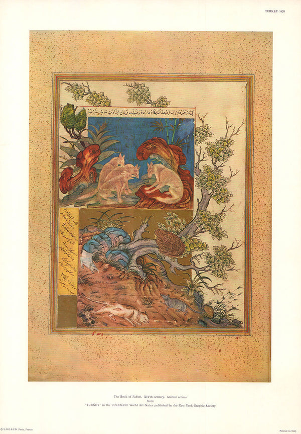 Turkey - The Book of Fables, Animals Scenes - 13 X 19 Inches (Offset Lithograph)