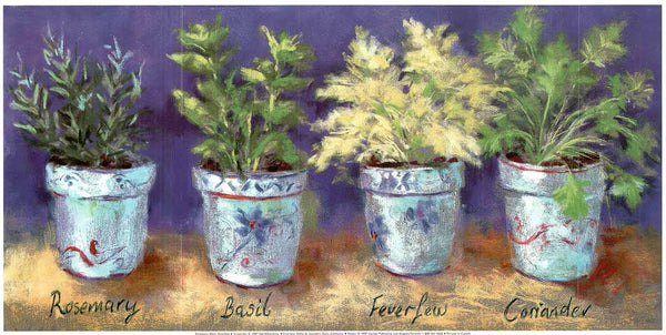 Rosemary, Basil, Feverfew & Coriander by Nel Whatmore - 10 X 20 Inches (Art Print)