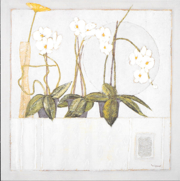 White Delicatesse on a White Background by André Vigud - 6 X 6 Inches (10 Postcards)