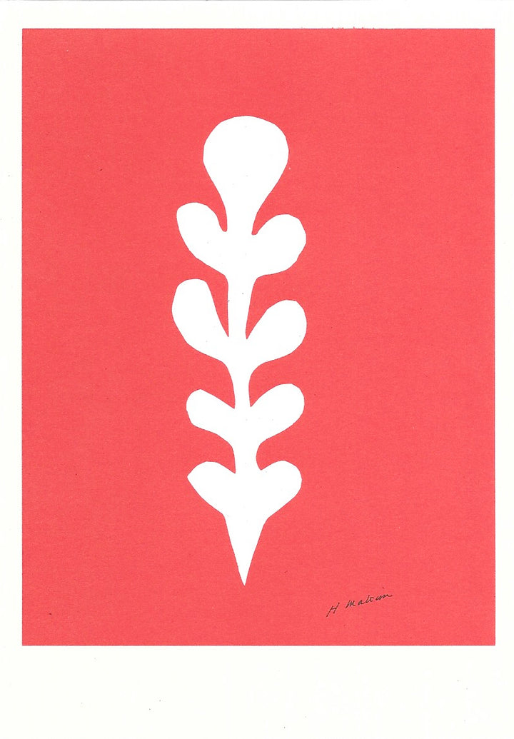 White Palm on Red, 1949 by Henri Matisse - 4 X 6 Inches (10 Postcards)