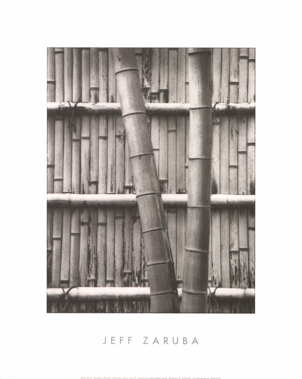 Bamboo and Wall by Jeff Zaruba - 16 X 20 Inches (Art Print)