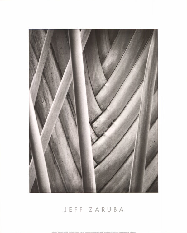 Palm Pattern by Jeff Zaruba - 16 X 20 Inches (Art Print)