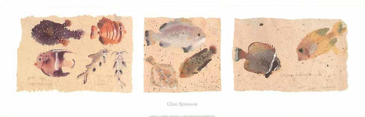 Fish by Clare Sprawson - 12 X 36 Inches (Art Print).
