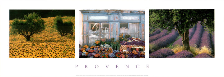 Provence (Triptych) by Gerard Sioen - 13 X 38 Inches (Art Print)