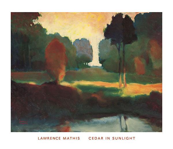 Cedar in Sunlight by Lawrence Mathis - 28 X 32 Inches (Art Print)