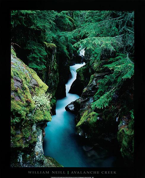 Avalanche Creek by William Neill - 26 X 32 Inches (Art Print)
