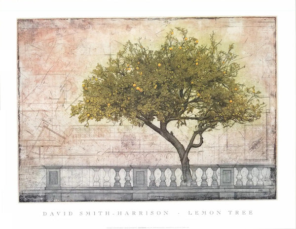Lemon Tree by David Smith-Harrison - 26 X 33 Inches (Art Print)