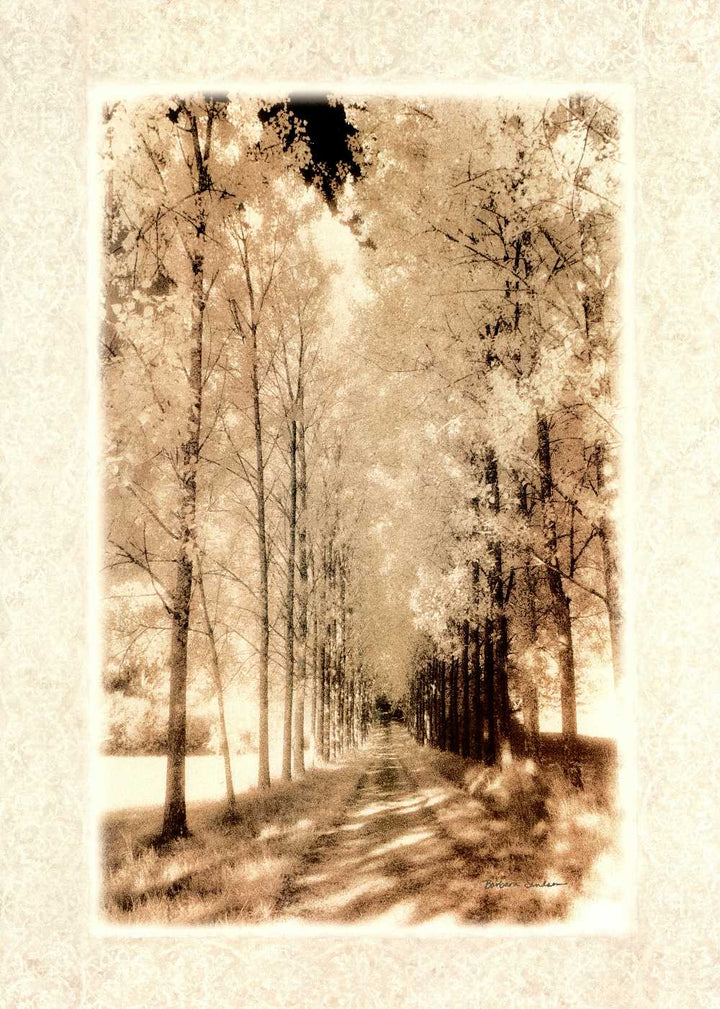 Le Sentier au Château by Barbara Sandson - 27 X 37 Inches (Art Print)