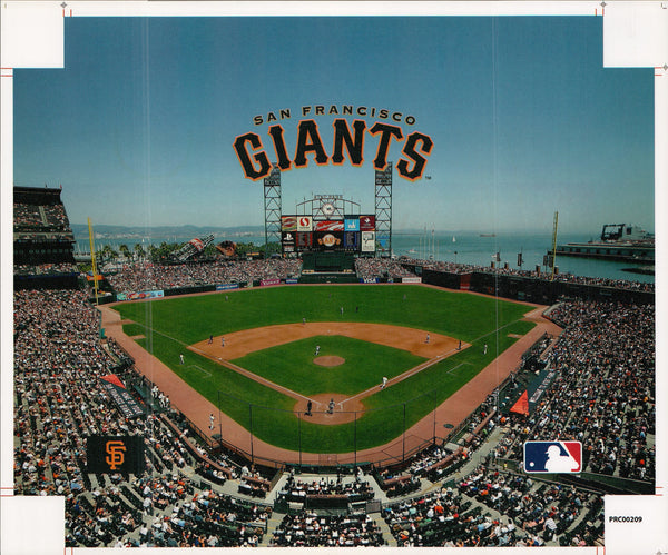 Giants - 15 X 19 Inches (Canvas Roll or Stretched ready to hang)