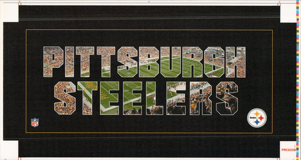 Pittsburgh - Steelers - 12 X 26 Inches (Canvas Roll or Stretched ready to hang)