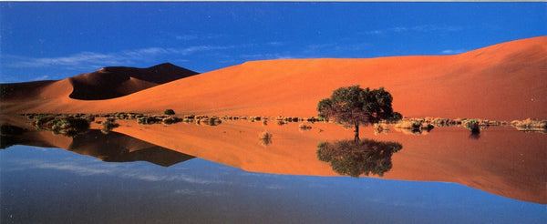 Namib Desert by Philippe Bourseiller - 4 X 9 Inches (Note Card)