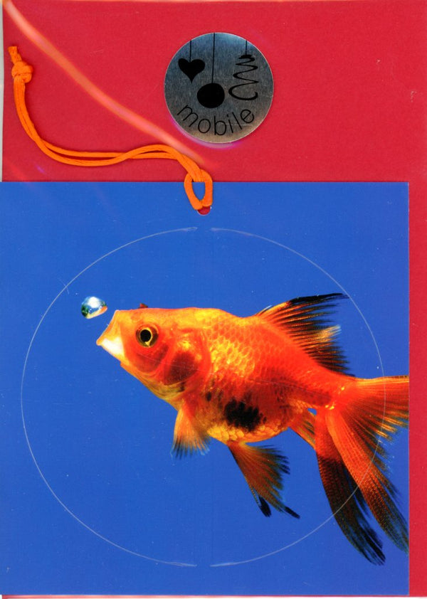 Goldfish / Poisson Rouge by Georgette Douwma - 5 X 5 Inches (Round-Shaped Card)
