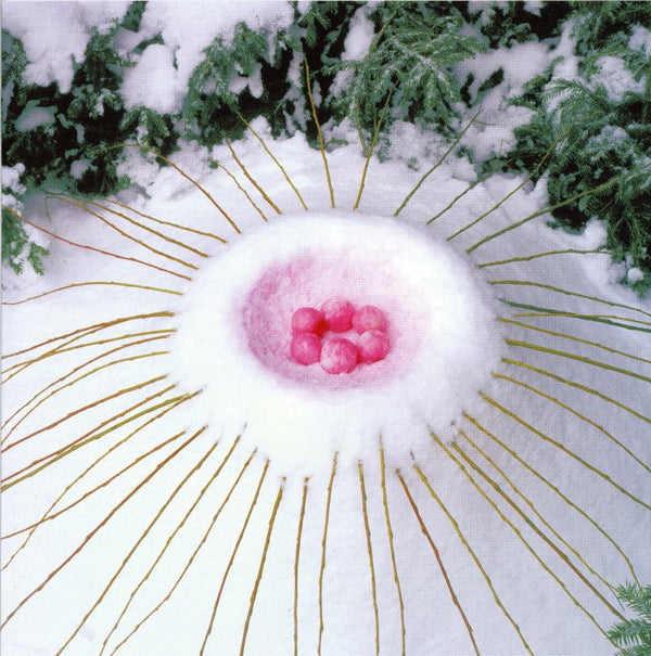 Nid d'hiver. Neige, Willow Switches, Iceballs teints avec Snowballberry Juice / Nid de Neige. Neige, osier et boules de glace, colorées au juste de baie d'obier