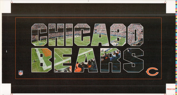 Chicago - Bears - 12 X 26 Inches (Canvas Roll or Stretched ready to hang)