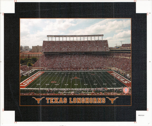 Texas - Longhorns - 15 X 19 Inches (Canvas Roll or Stretched ready to hang)