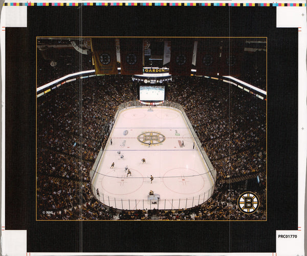 Boston - Arena - 15 X 19 Inches (Canvas Roll or Stretched ready to hang)