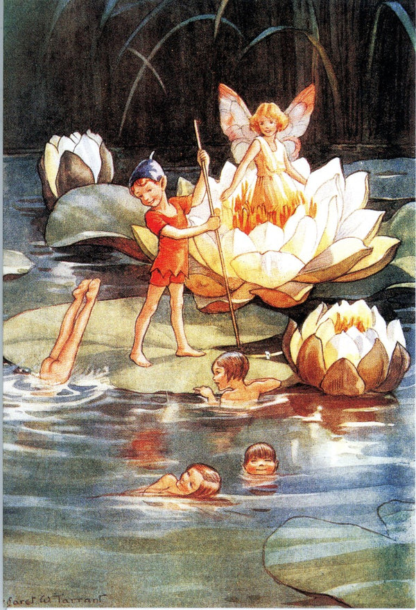 Water Lilies, 1935 by Margaret Winifred Tarrant - 5 X 7 Inches (Note Card)