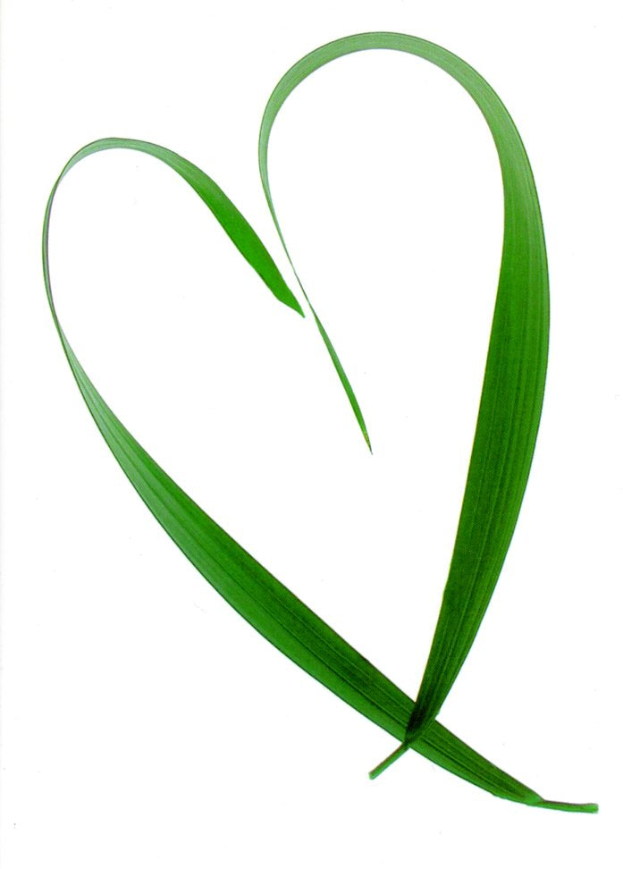 Leaf Heart by Michel Gantner - 5 X 7 Inches (Greeting Card)