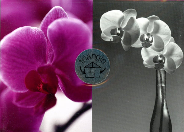 Orchids / Orchidées  (Triangle)