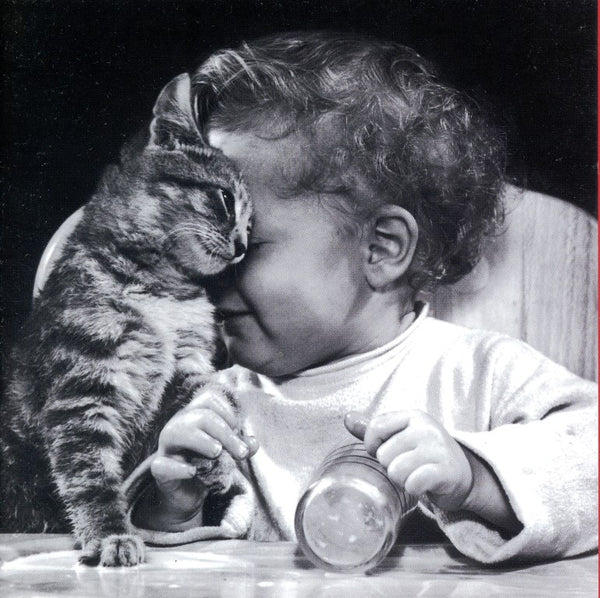 Baby and Kitten Hugging