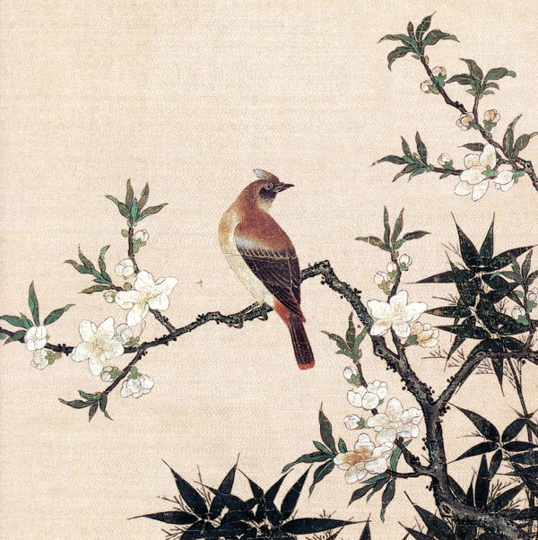 Bird on Peach Blossom by Utanosoke - 6 X 6 Inches (Greeting Card)