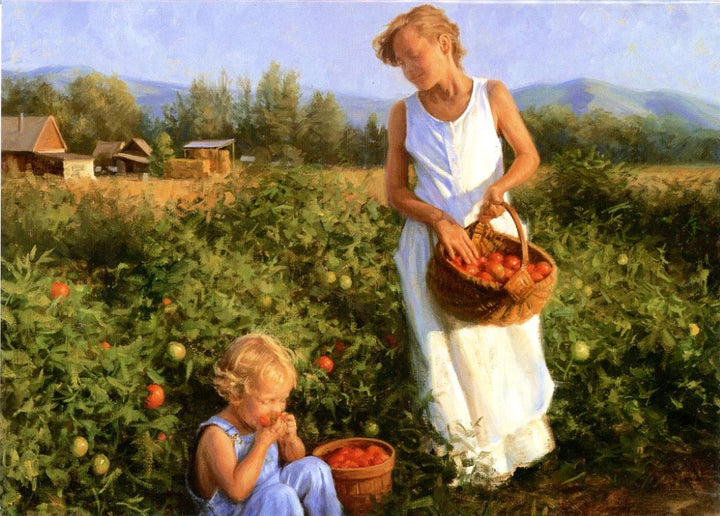 Ripe Tomatoes by Robert Duncan - 5 X 7" (Greeting Card)