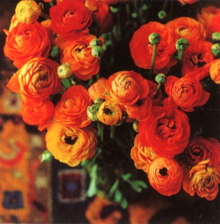 Orange Ranunculus by Ruth Beker - 3 X 3 Inches (Greeting Card)