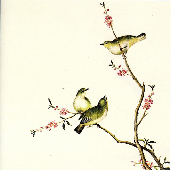 Oiseau à œil blanc – 15,2 x 15,2 cm (carte de vœux)
