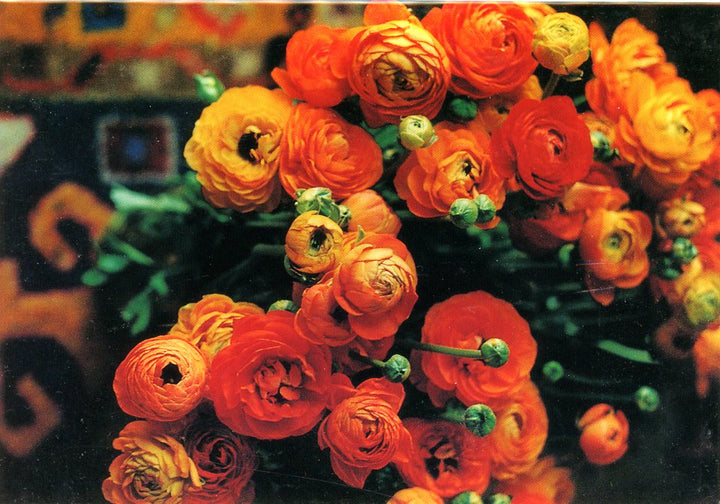 Orange Flowers by Ruth Beker - 5 X 7 Inches (Greeting Card)