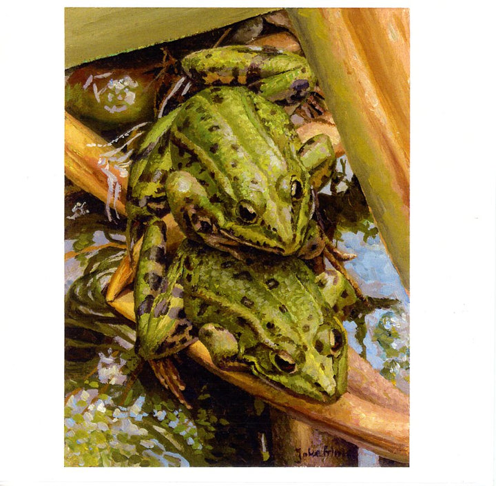 Two Frogs by Joke Frima - 6 X 6" (Greeting Card)