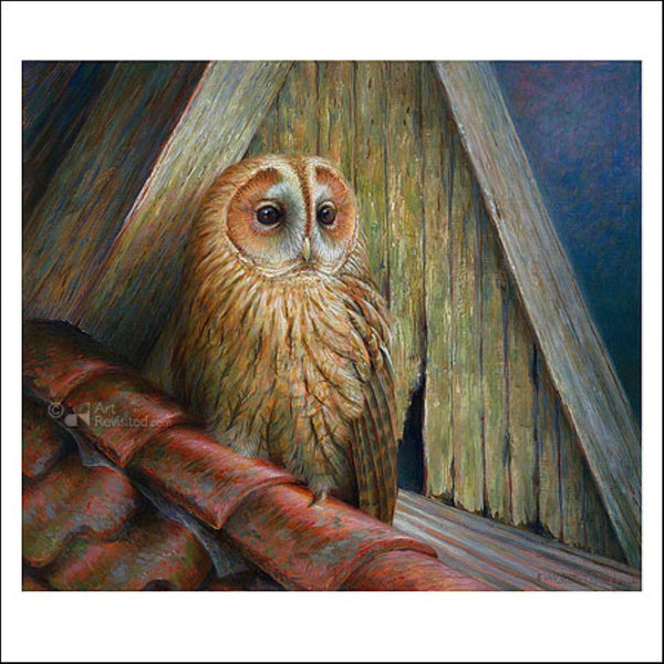 Tawny Owl by Erik van Ommen - 6 X 6" (Greeting Card)