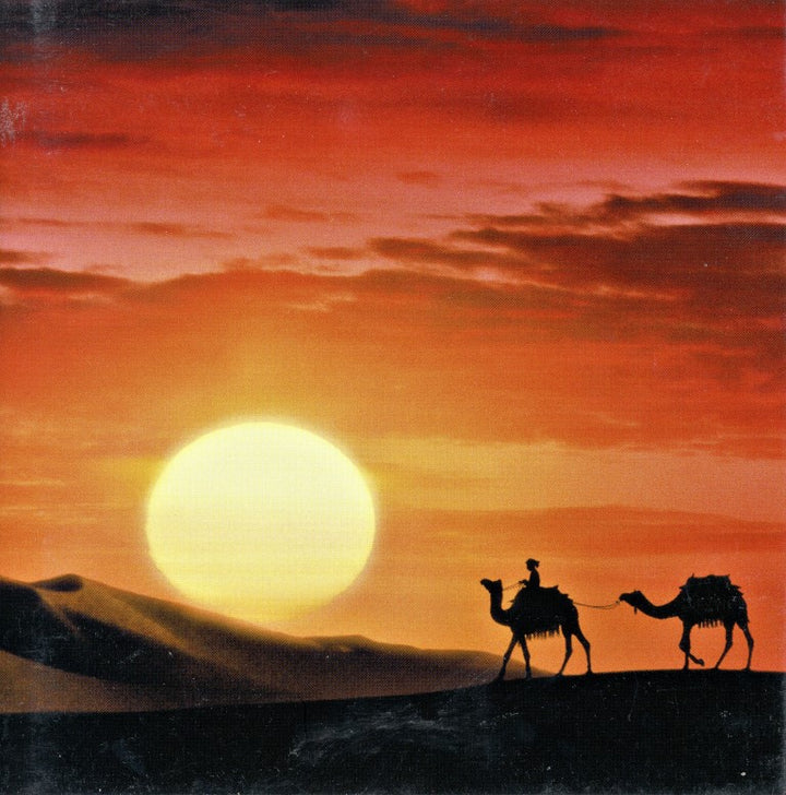 Camels At Sunset In Egypt by Allan Davey - 6 X 6 Inches (Greeting Card)