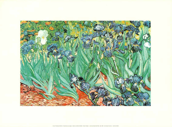 Irises, 1889 by Vincent Van Gogh - 12 X 16 Inches (Art Print)